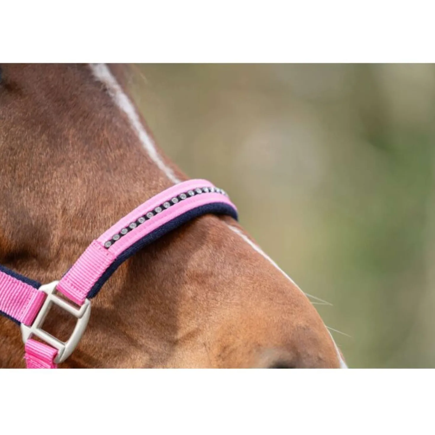HKM Halsterset Crystal Zacht Onderlegd Roze/Donkerblauw