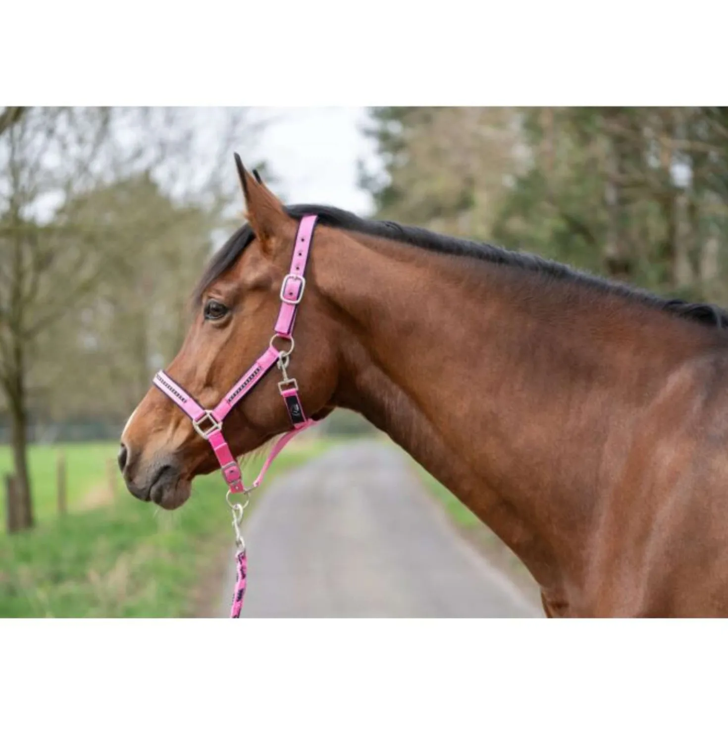 HKM Halsterset Crystal Zacht Onderlegd Roze/Donkerblauw