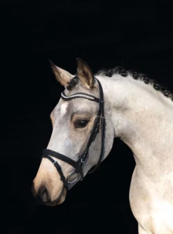 HKM Hoofdstel Little Star Zwart