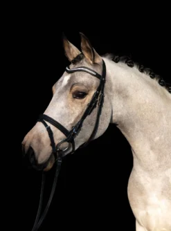 HKM Hoofdstel Little Star Zwart