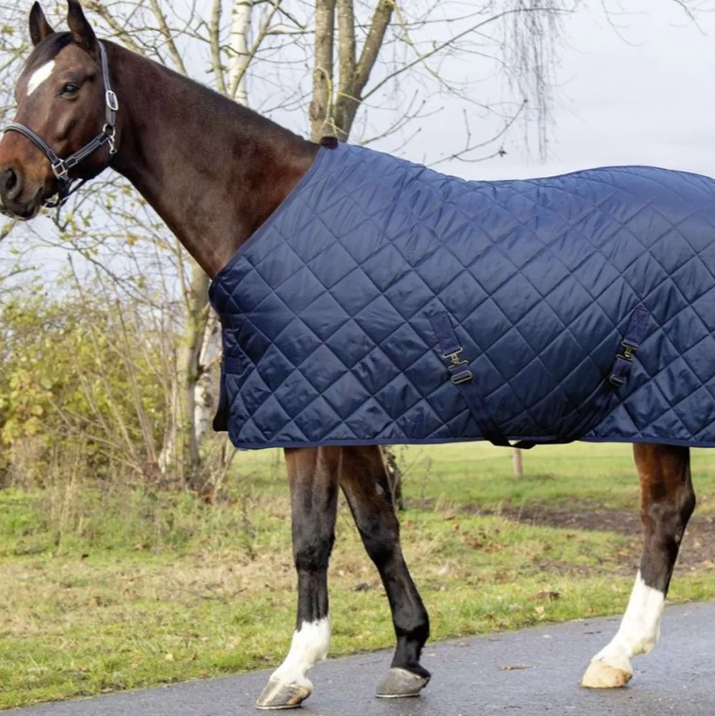 HKM Staldeken Winter Donkerblauw