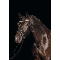 HKM Trenshoofdstel Bella Zwart