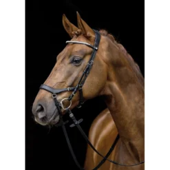 HKM Trenshoofdstel Pro Anatomic Zwart