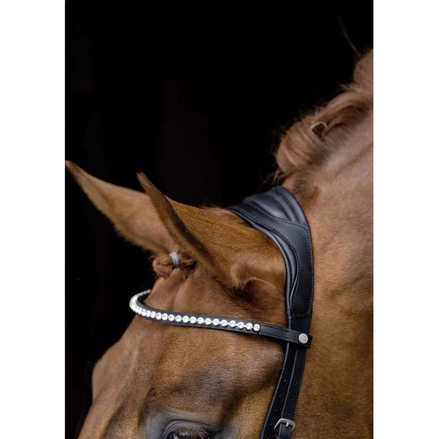 HKM Trenshoofdstel Pro Anatomic Zwart