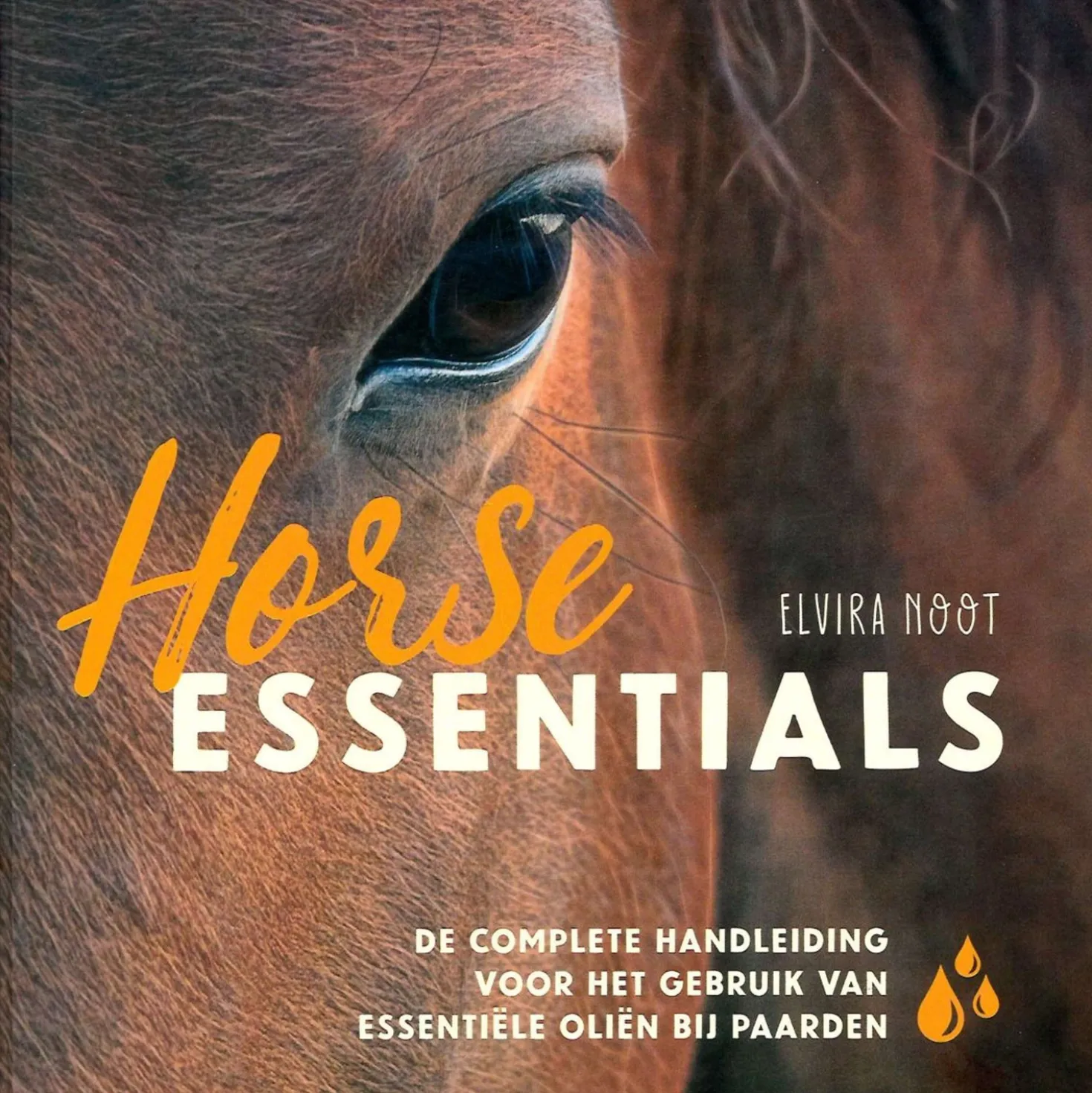 Horse Essentials (NL)