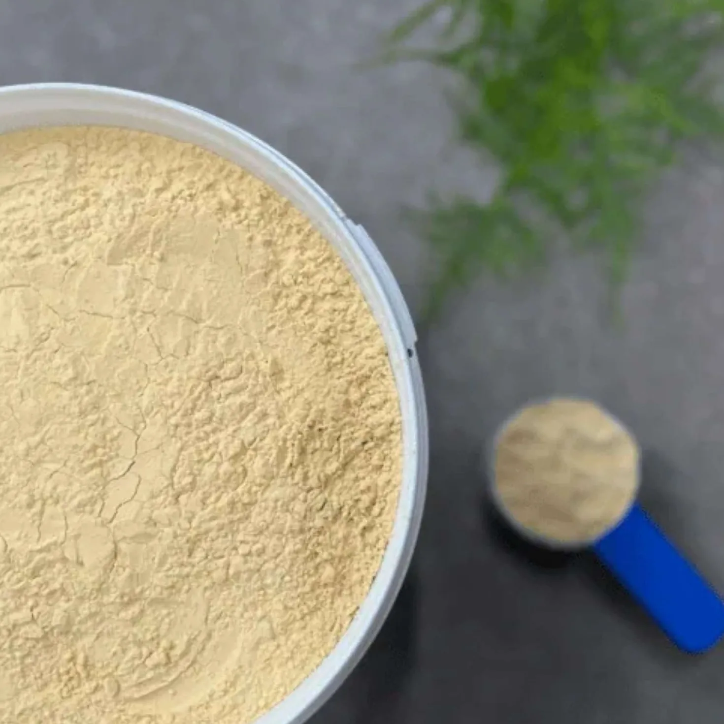 HorseFlex Protein Power Navul
