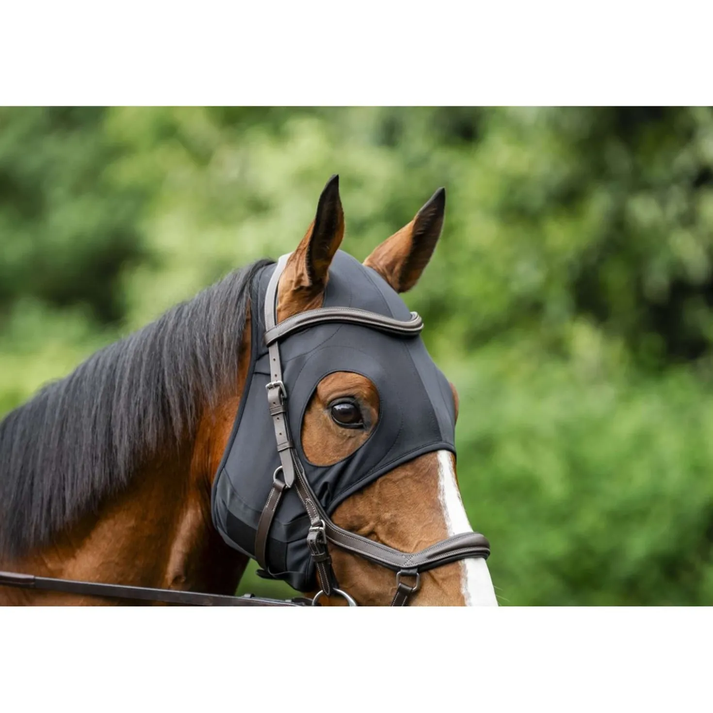 Horseware Calming Face Mask Ionic Zwart