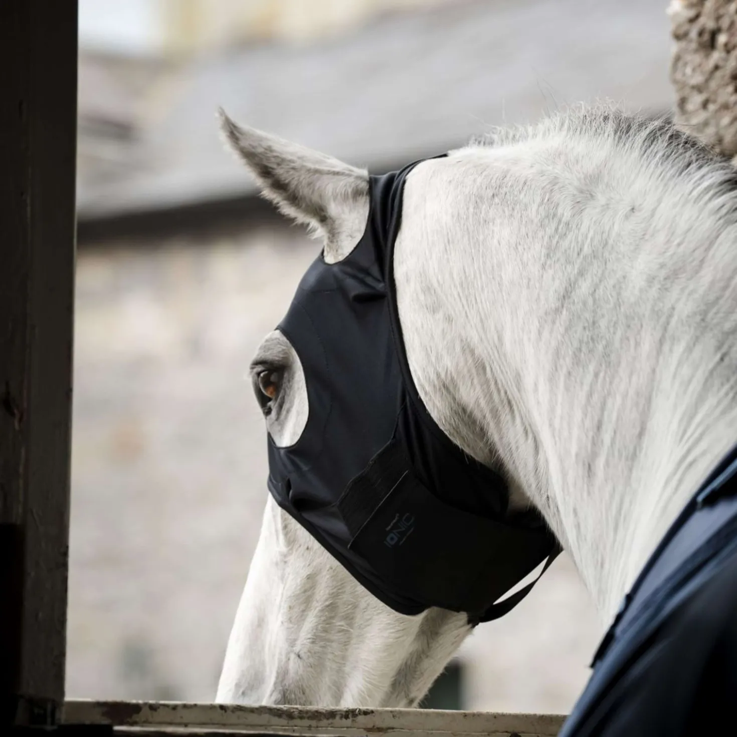 Horseware Calming Face Mask Ionic Zwart
