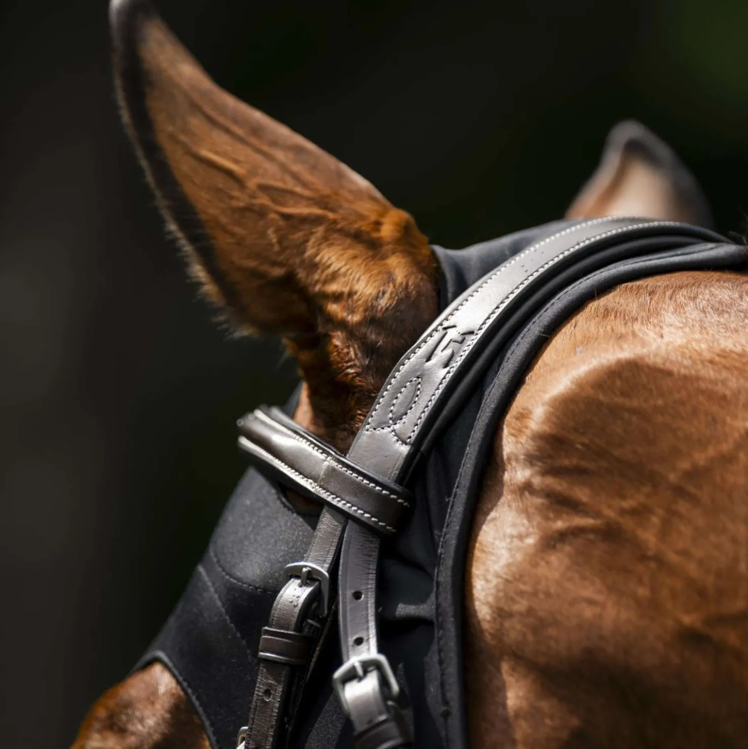 Horseware Calming Face Mask Ionic Zwart
