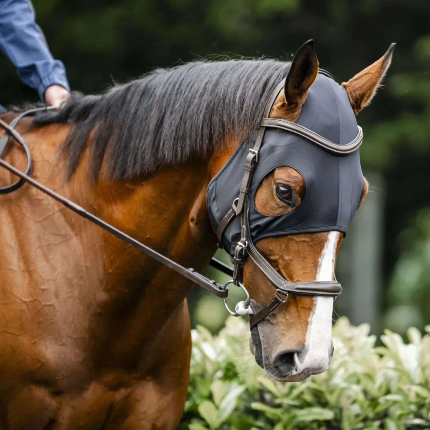 Horseware Calming Face Mask Ionic Zwart