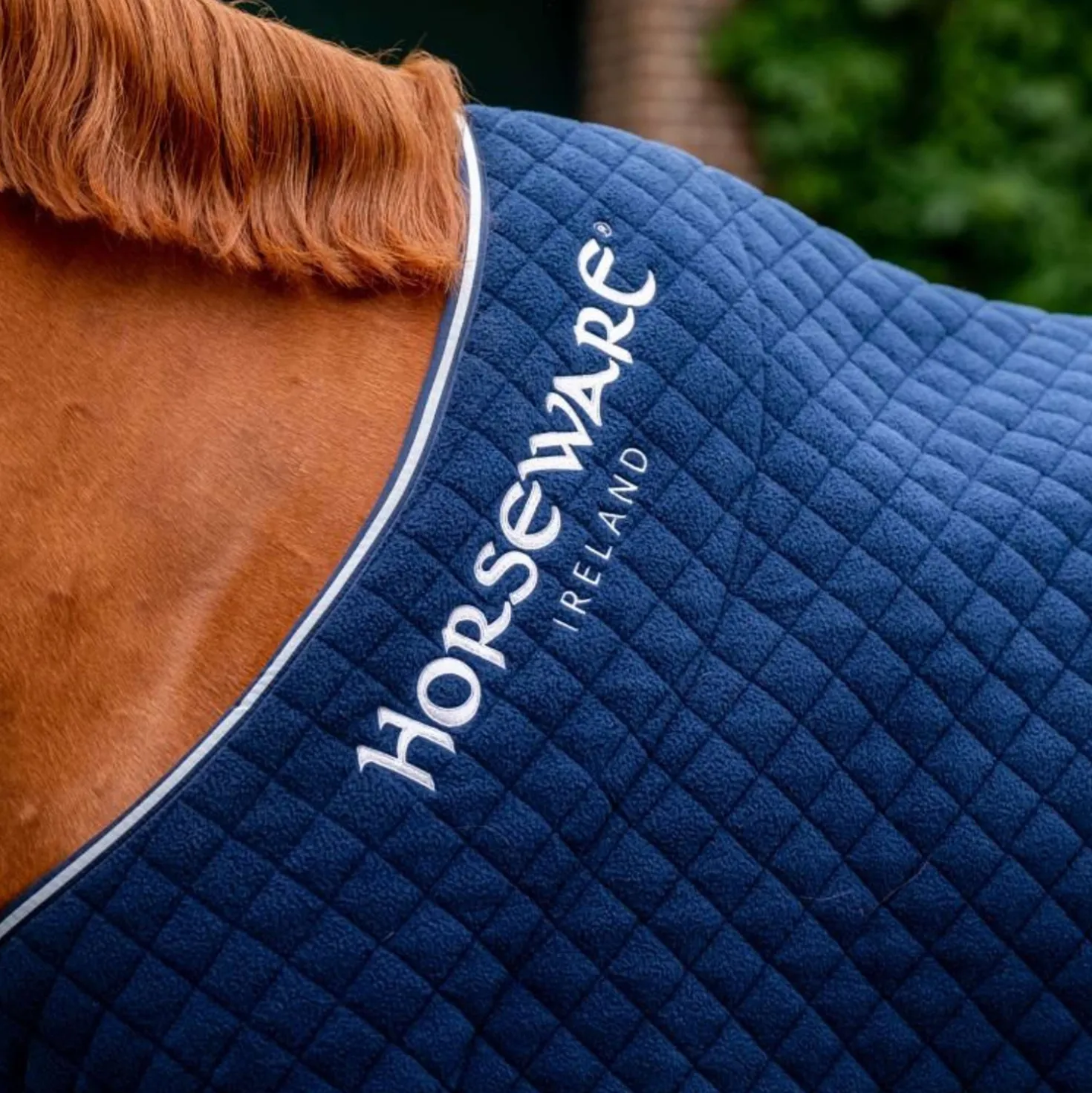 Horseware Cooler Autumn Navy/Zilver