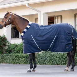 Horseware Cosy Stable Newmarket 100g Witney Navy