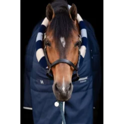 Horseware Cosy Stable Newmarket 200g Witney Navy