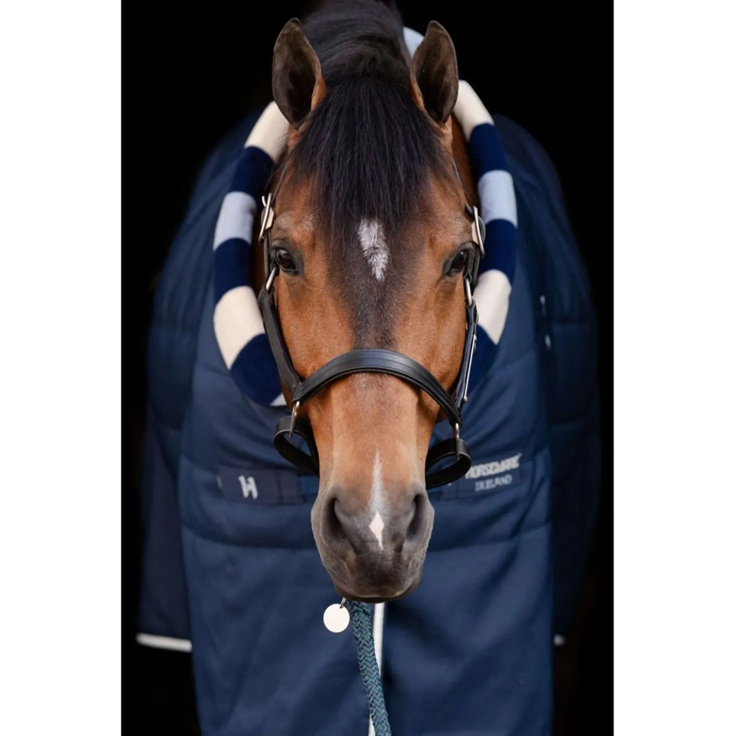 Horseware Cosy Stable Newmarket 200g Witney Navy