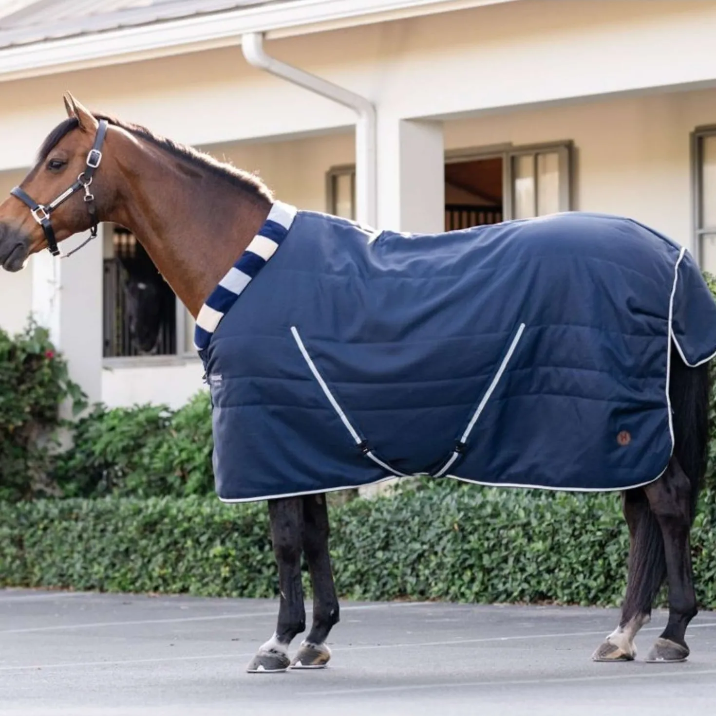 Horseware Cosy Stable Newmarket 200g Witney Navy