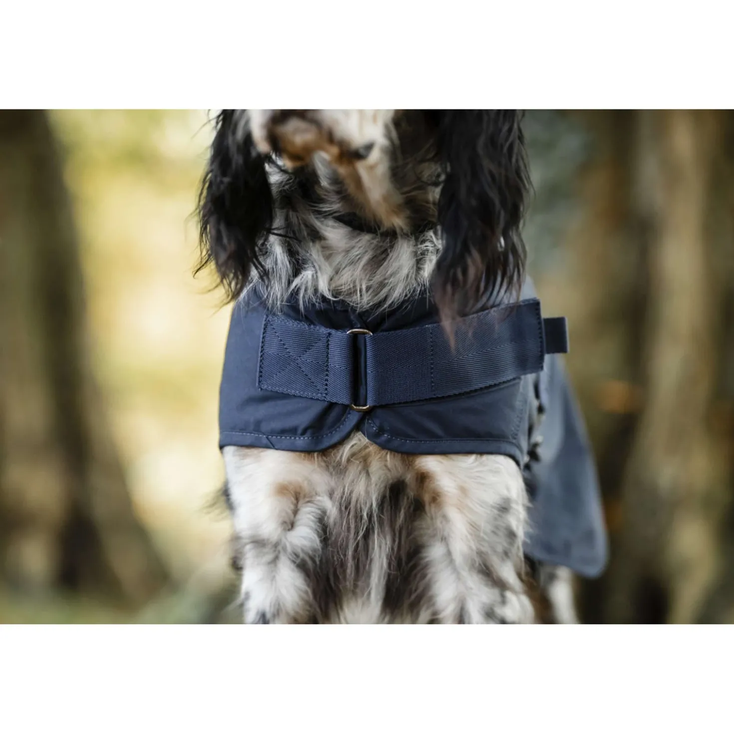 Horseware Dog Coat Newmarket Hertitage Navy/Witney Navy