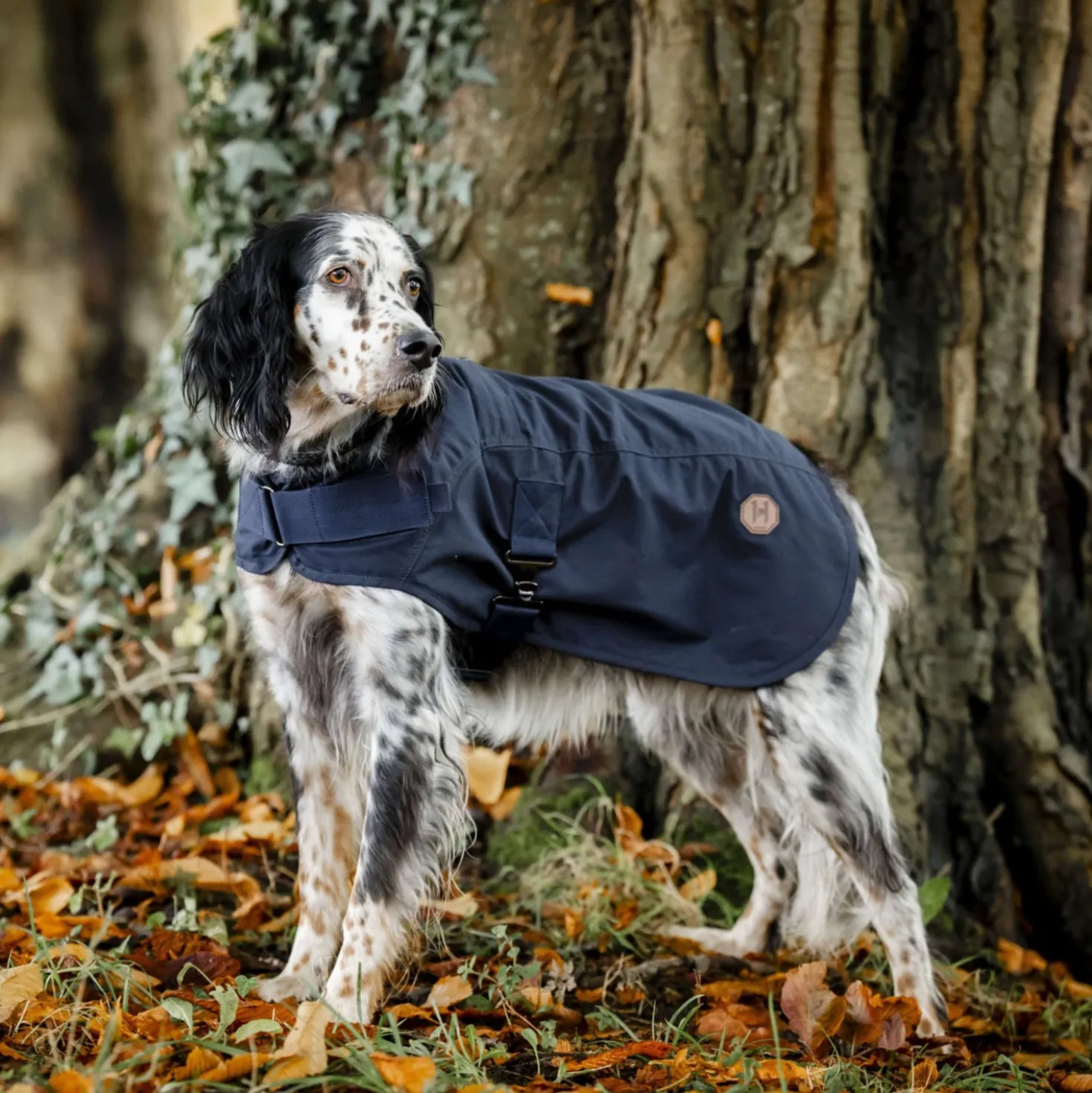 Horseware Dog Coat Newmarket Hertitage Navy/Witney Navy