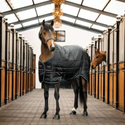 Horseware Easy-Layer Stable 100g Zwart/Zwart