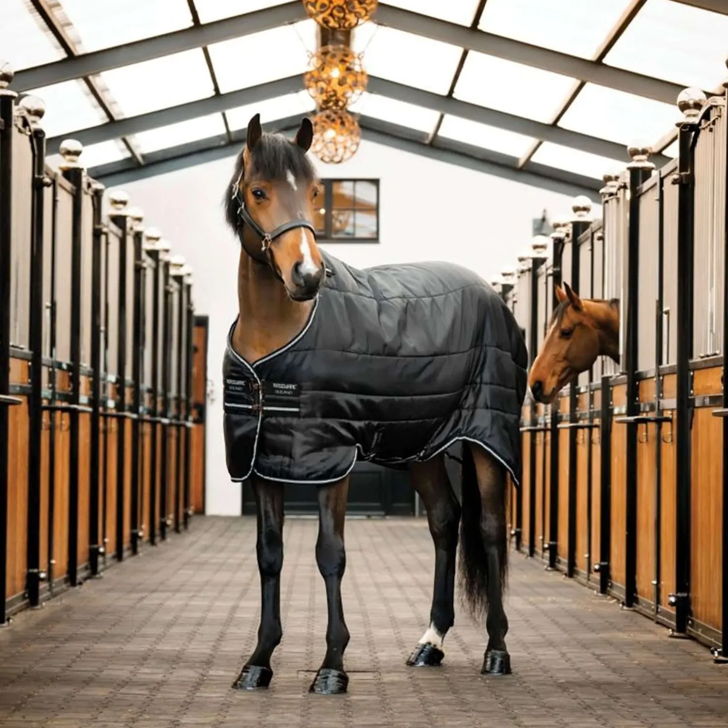 Horseware Easy-Layer Stable 100g Zwart/Zwart