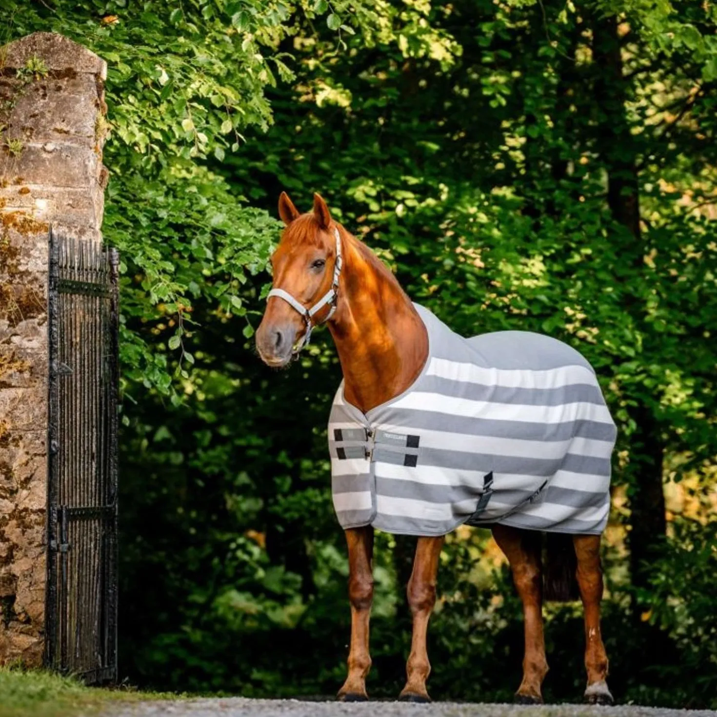 Horseware Fleece Cooler Newmarket Witney Charcoal