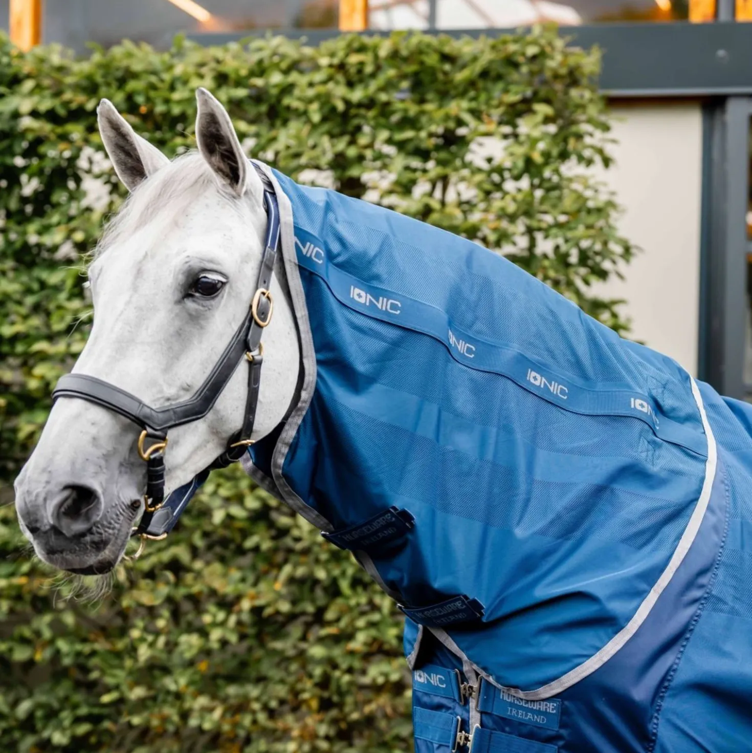 Horseware Halsstuk Therapy Mesh Cooler Imperial Blue/Silver/Navy