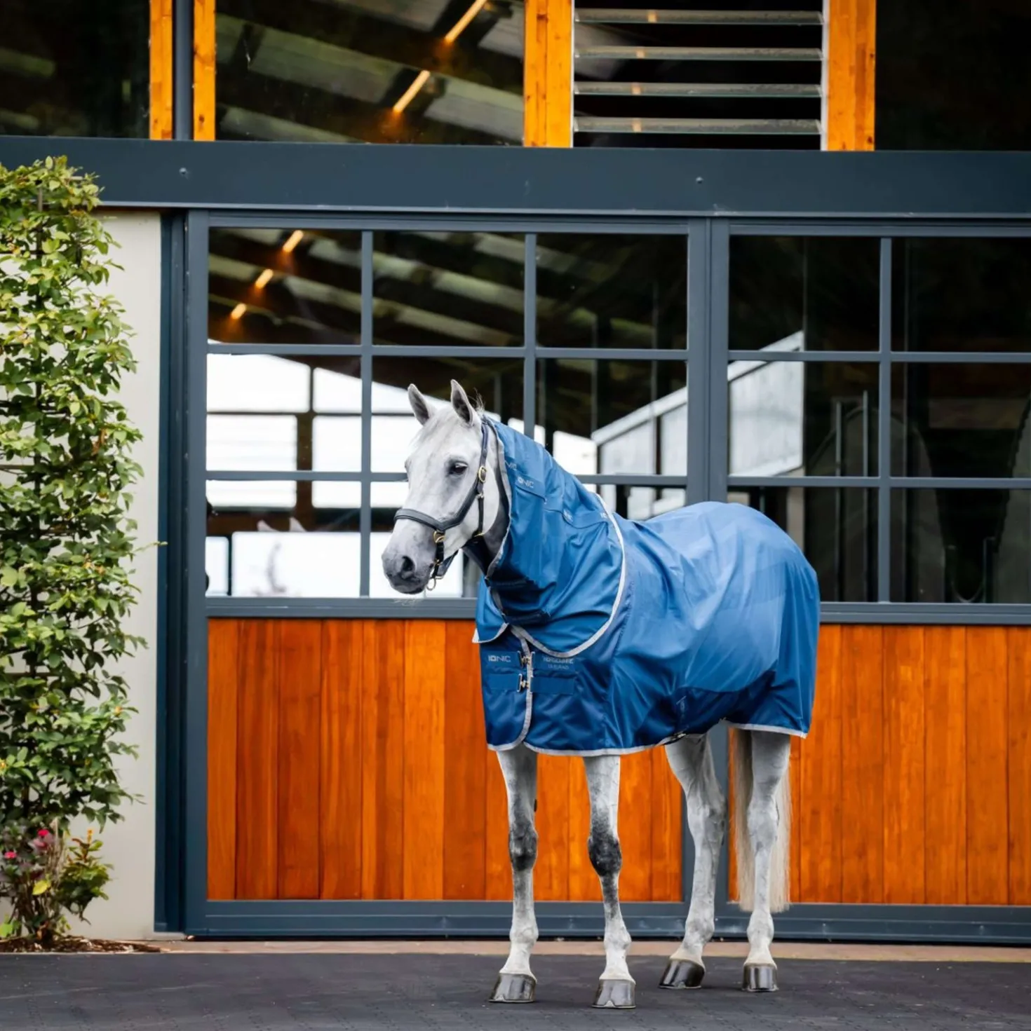 Horseware Halsstuk Therapy Mesh Cooler Imperial Blue/Silver/Navy