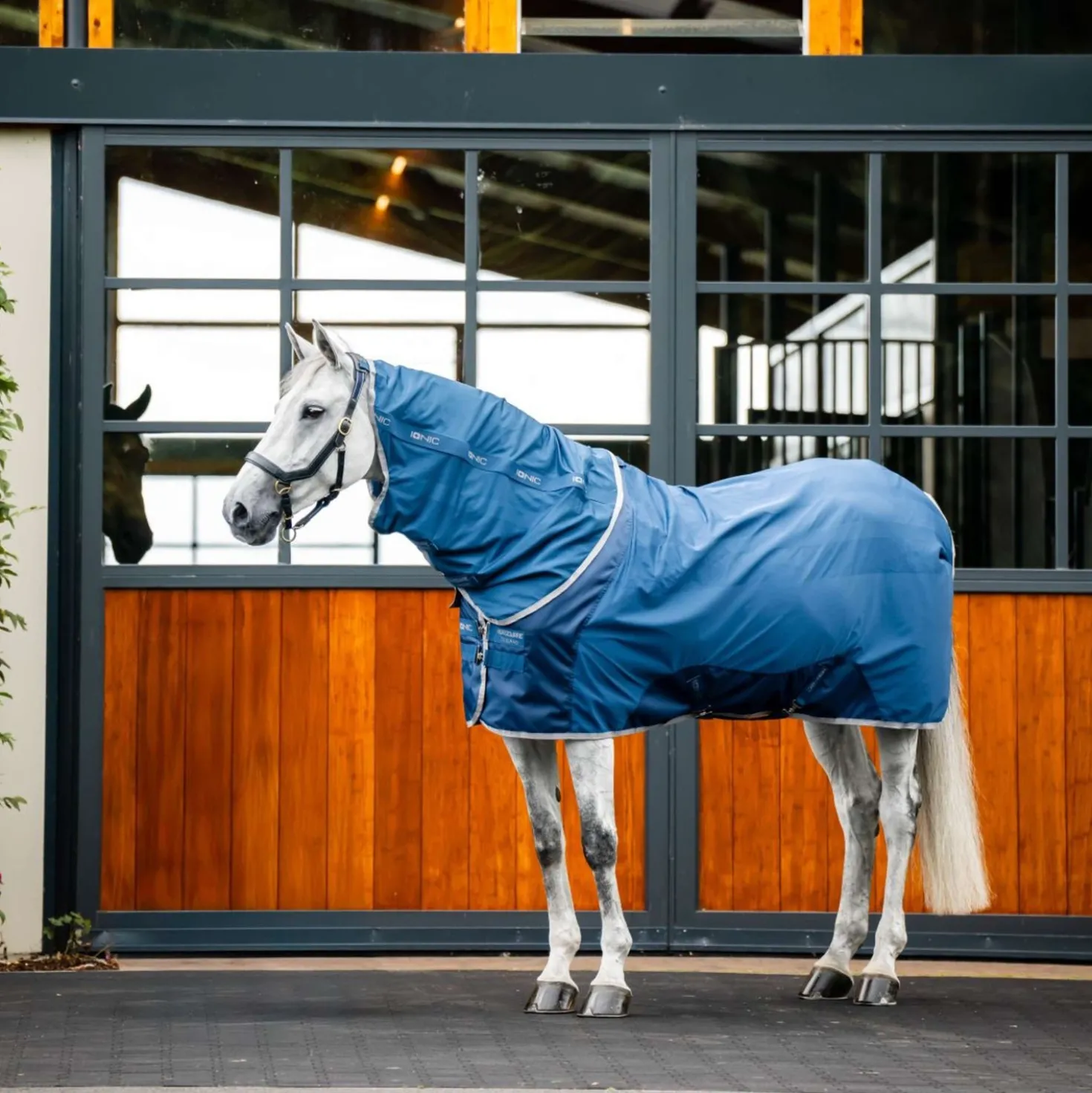 Horseware Halsstuk Therapy Mesh Cooler Imperial Blue/Silver/Navy