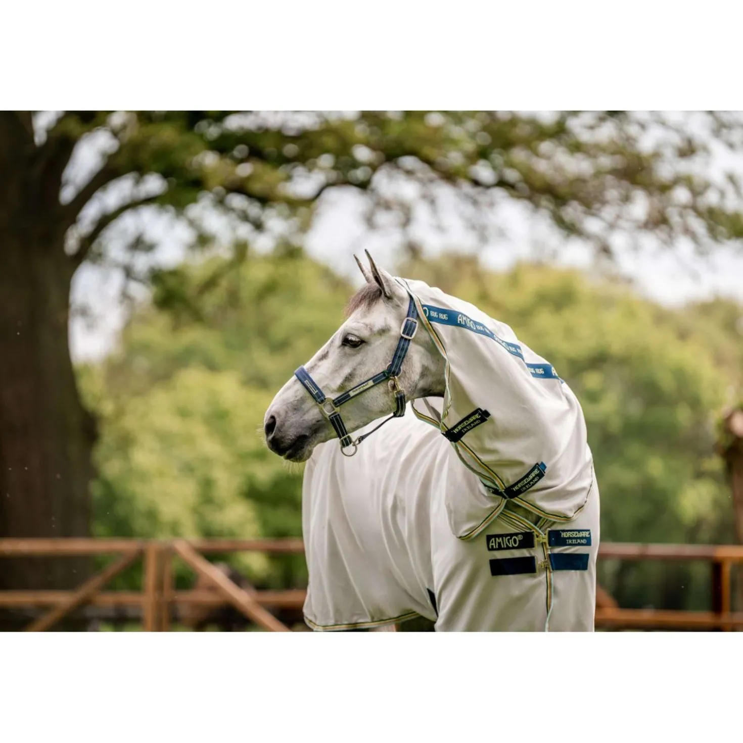 Horseware Halster Field Safe Navy