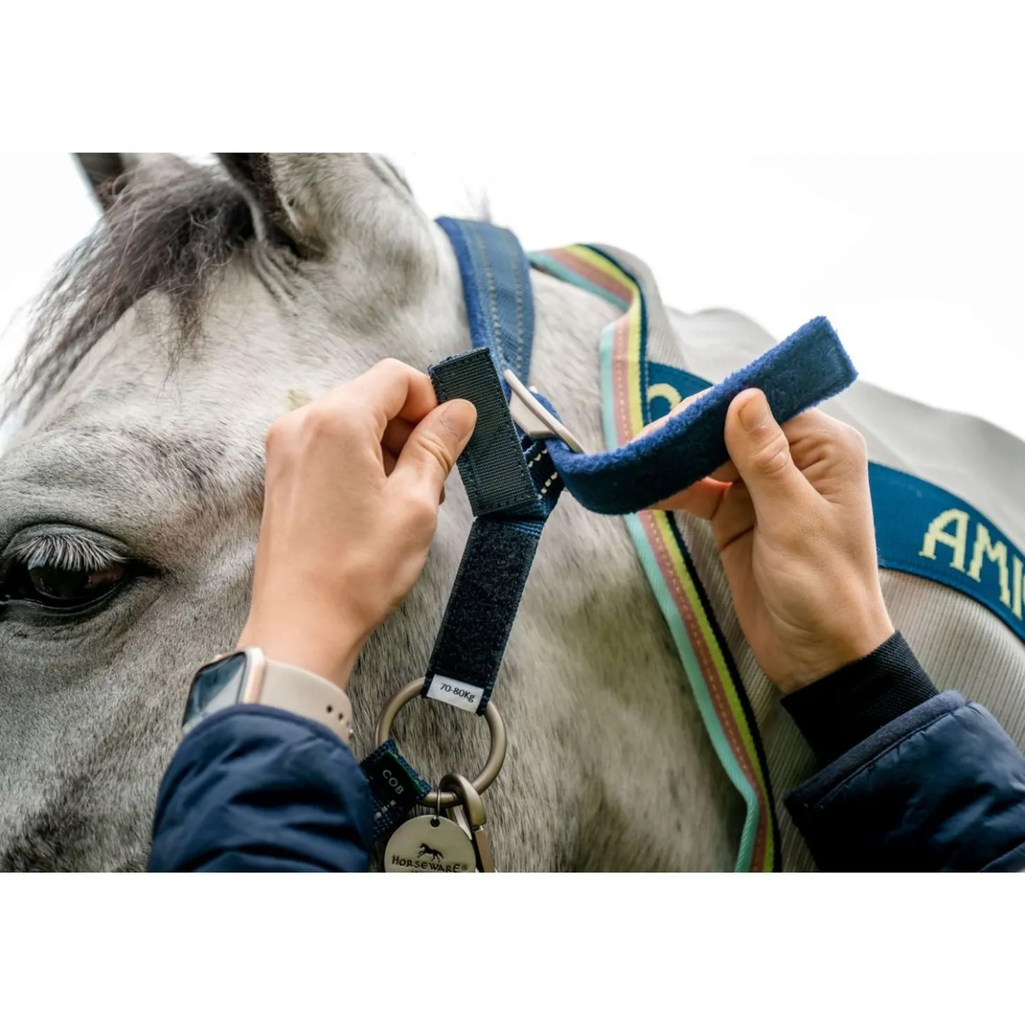 Horseware Halster Field Safe Navy