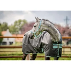 Horseware Halster Field Safe Blue Haze