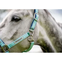 Horseware Halster Field Safe Blue Haze