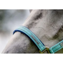 Horseware Halster Field Safe Blue Haze
