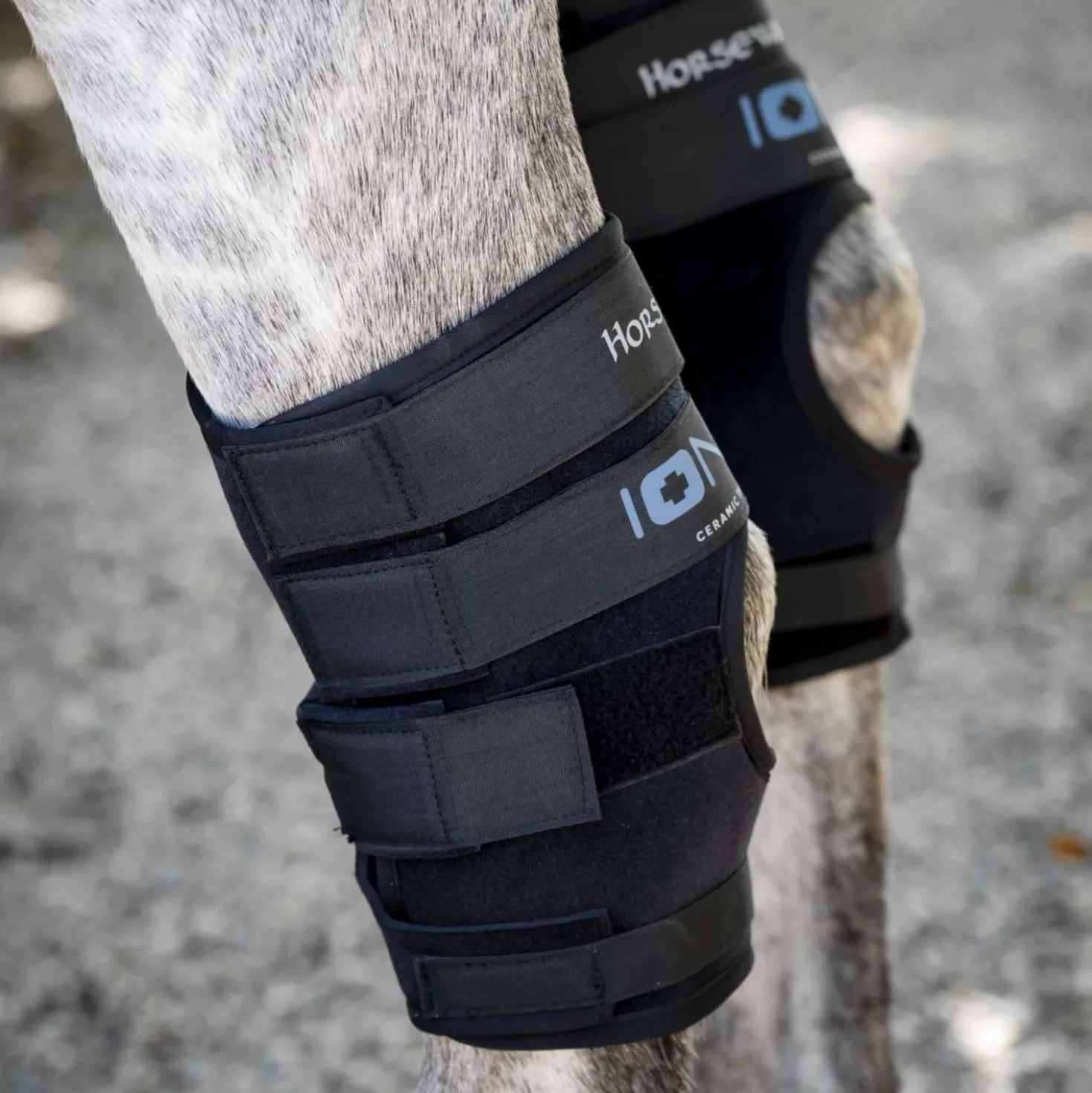 Horseware Hock Boots Ionic Set of 2 Zwart