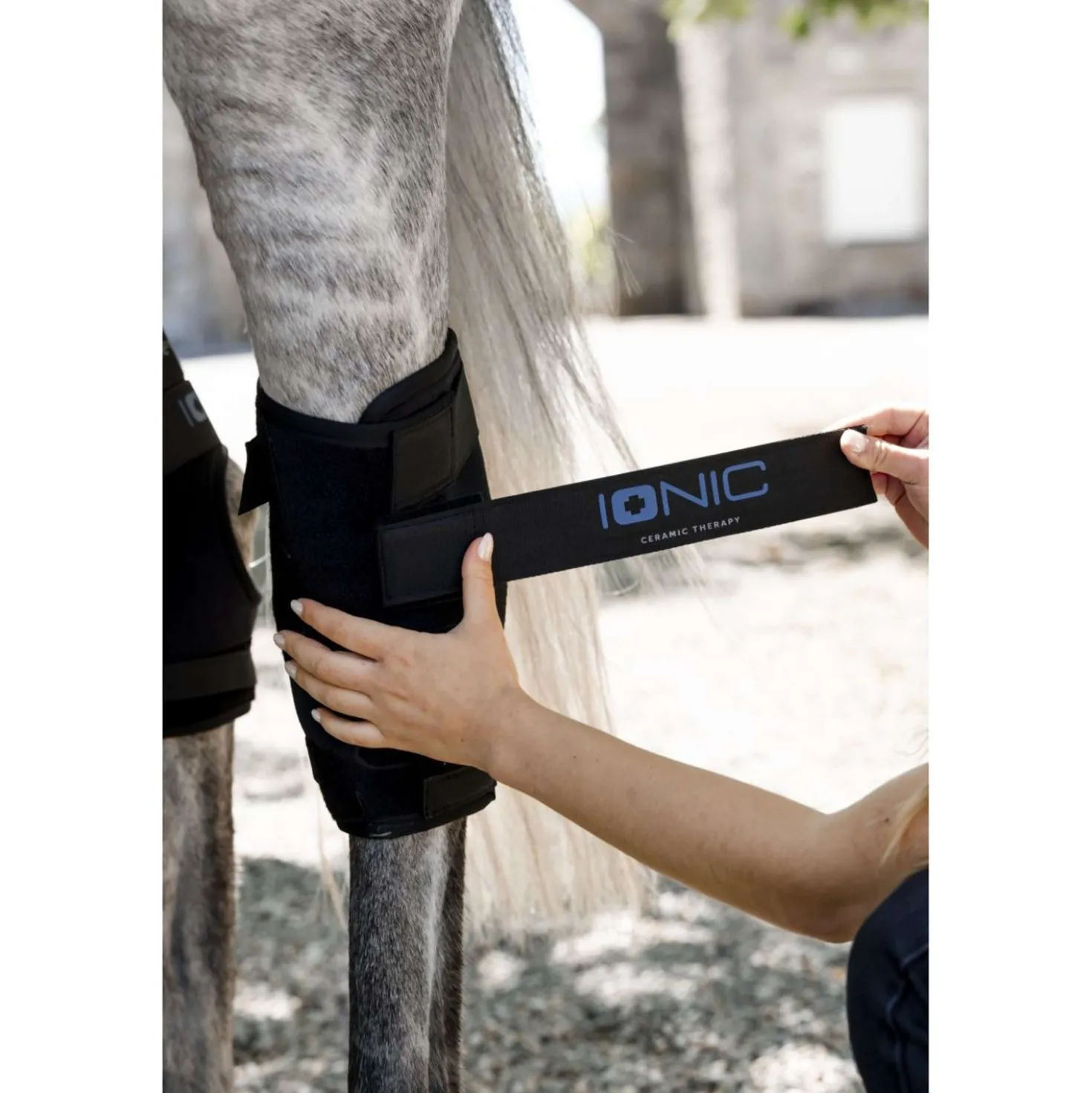 Horseware Hock Boots Ionic Set of 2 Zwart