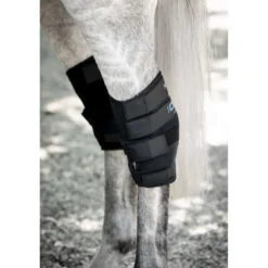 Horseware Hock Boots Ionic Set of 2 Zwart