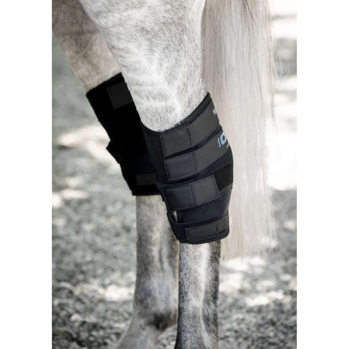 Horseware Hock Boots Ionic Set of 2 Zwart