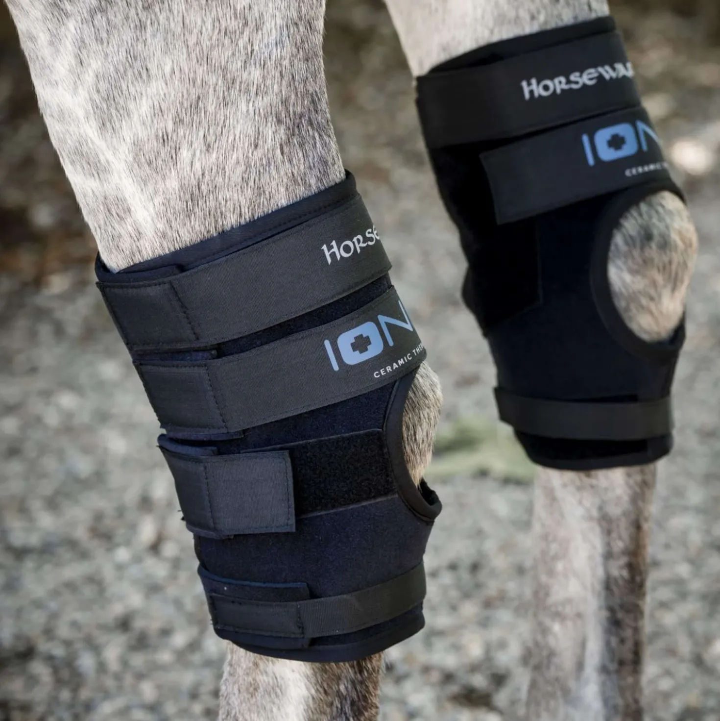 Horseware Hock Boots Ionic Set of 2 Zwart