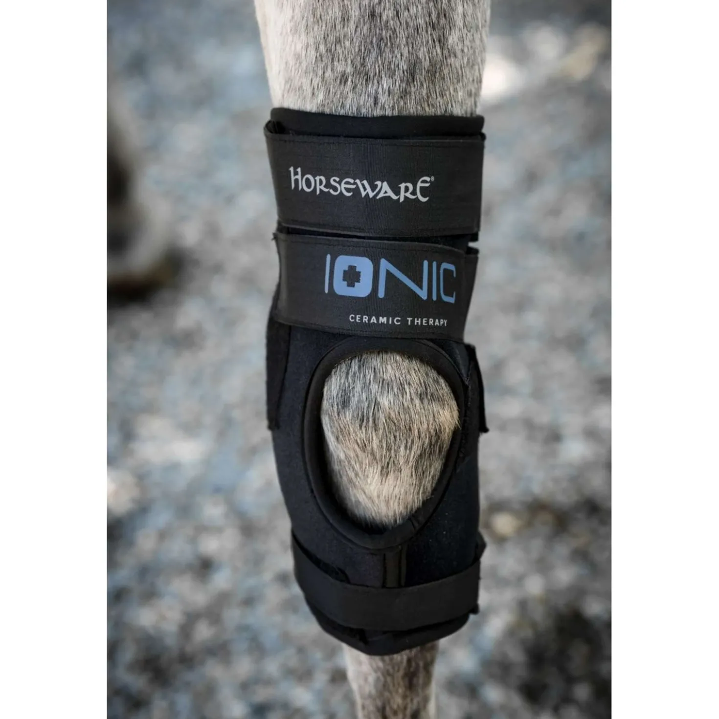 Horseware Hock Boots Ionic Set of 2 Zwart