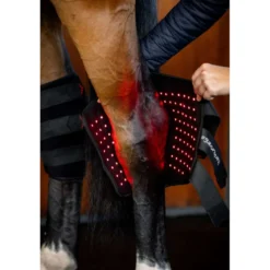 Horseware Hock Boots LED Red Light Therapy Pair Zwart/Zwart