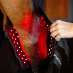 Horseware Hock Boots LED Red Light Therapy Pair Zwart/Zwart