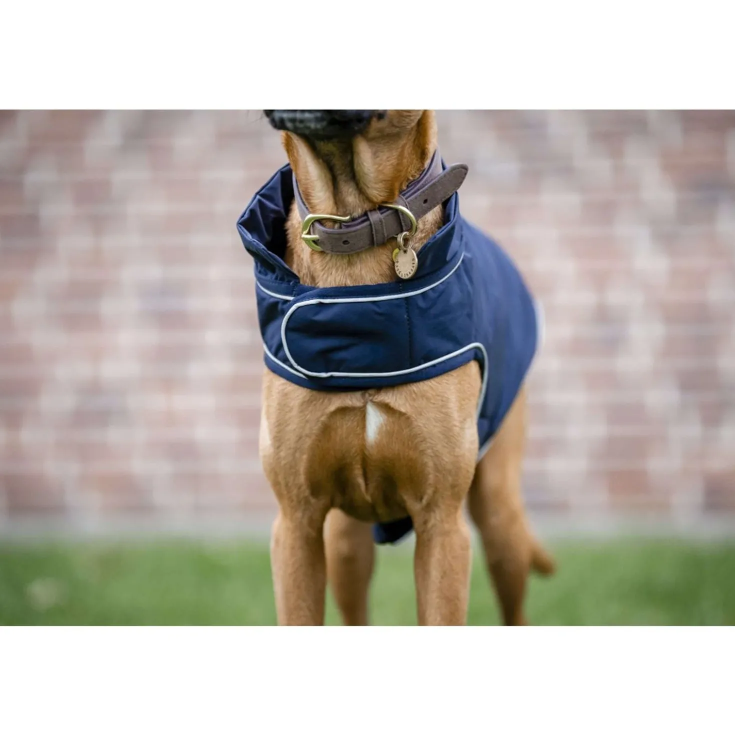 Horseware Hondenregendeken Signature 100g Navy
