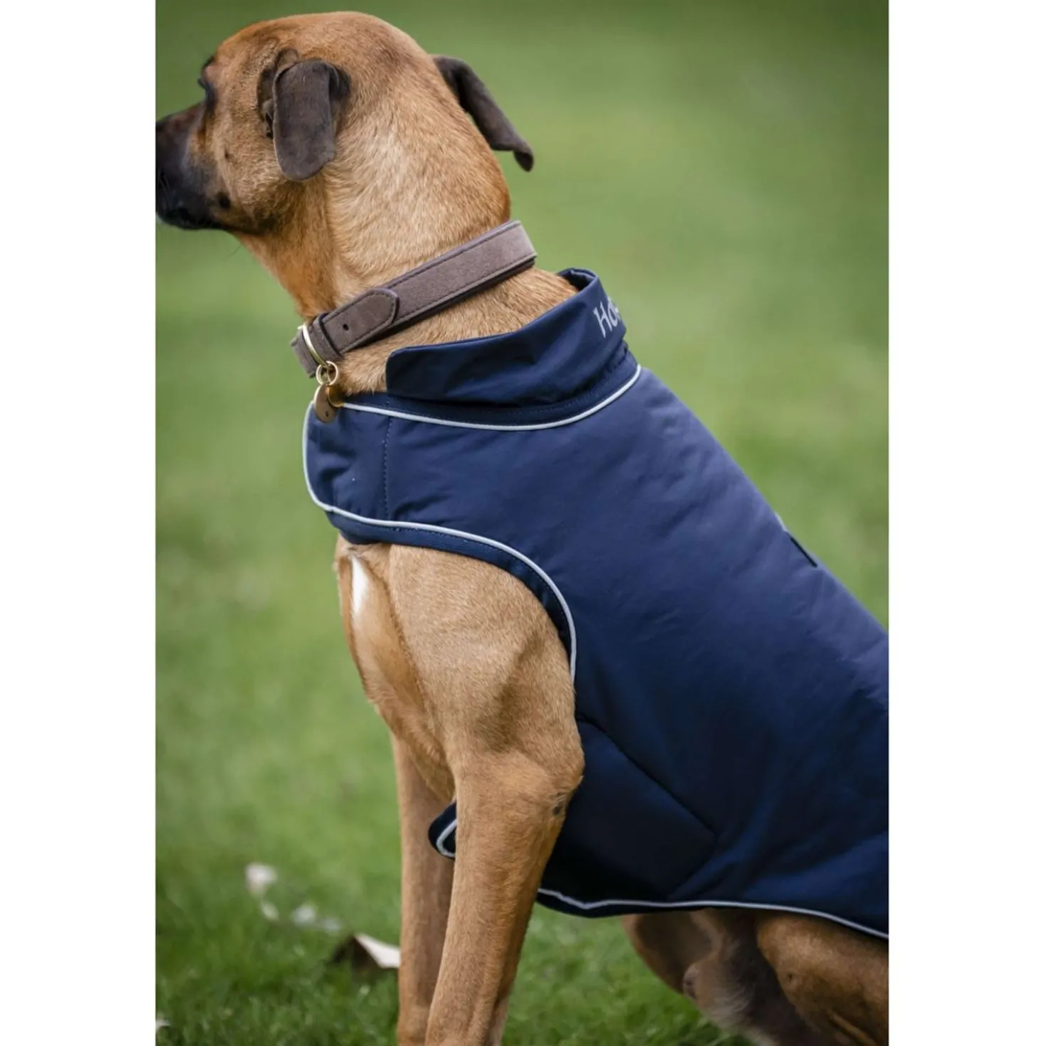 Horseware Hondenregendeken Signature 100g Navy