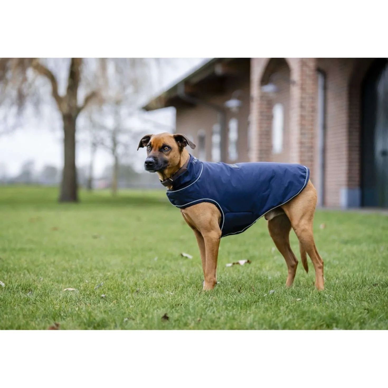Horseware Hondenregendeken Signature 100g Navy
