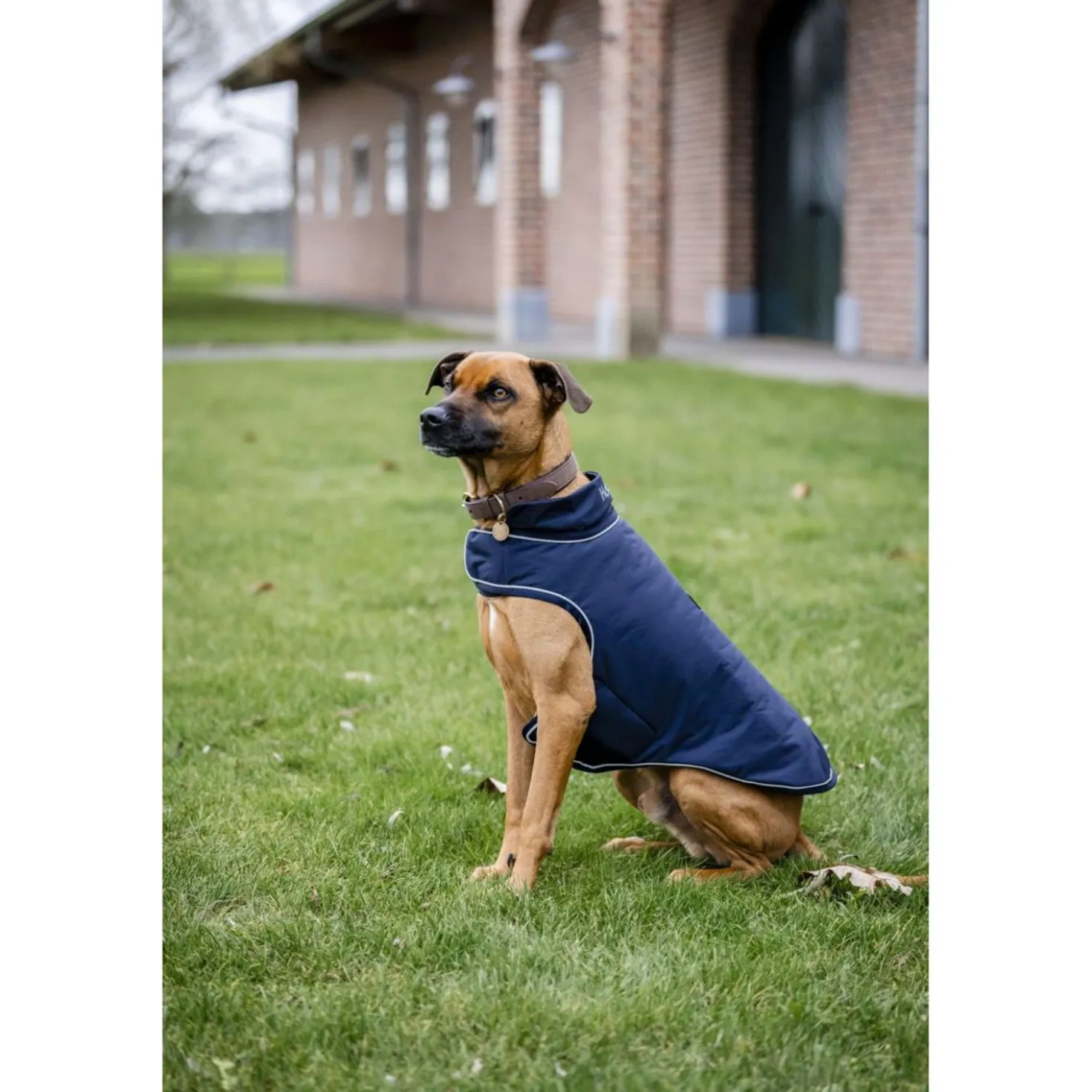 Horseware Hondenregendeken Signature 100g Navy