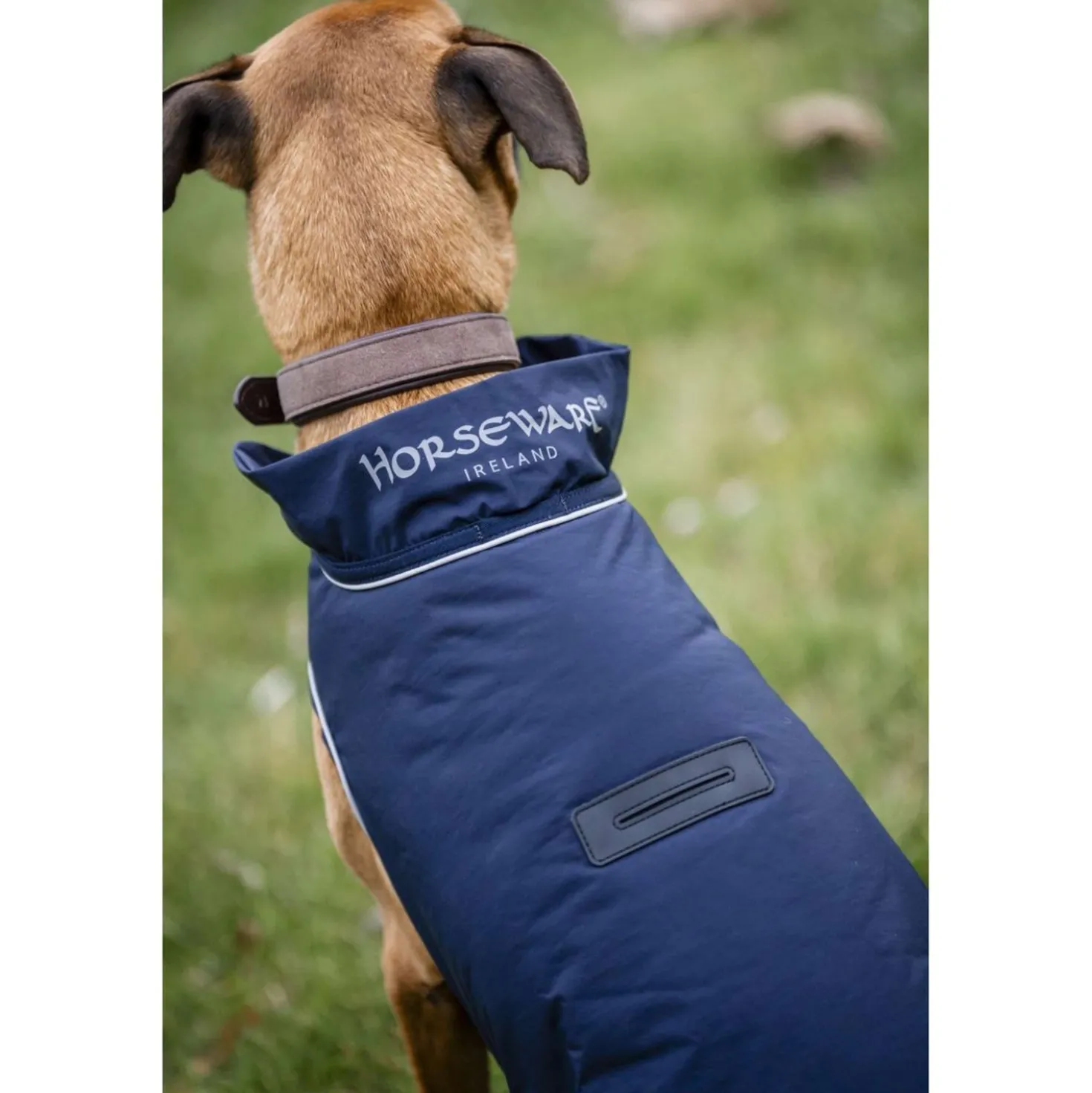 Horseware Hondenregendeken Signature 100g Navy