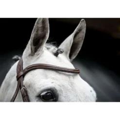 Horseware Hoofdstel Cavesson Bruin