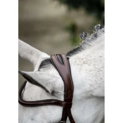 Horseware Hoofdstel Cavesson Bruin