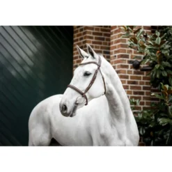 Horseware Hoofdstel Cavesson Bruin