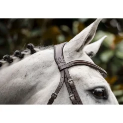 Horseware Hoofdstel Cavesson Bruin