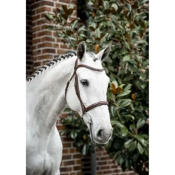 Horseware Hoofdstel Cavesson Bruin